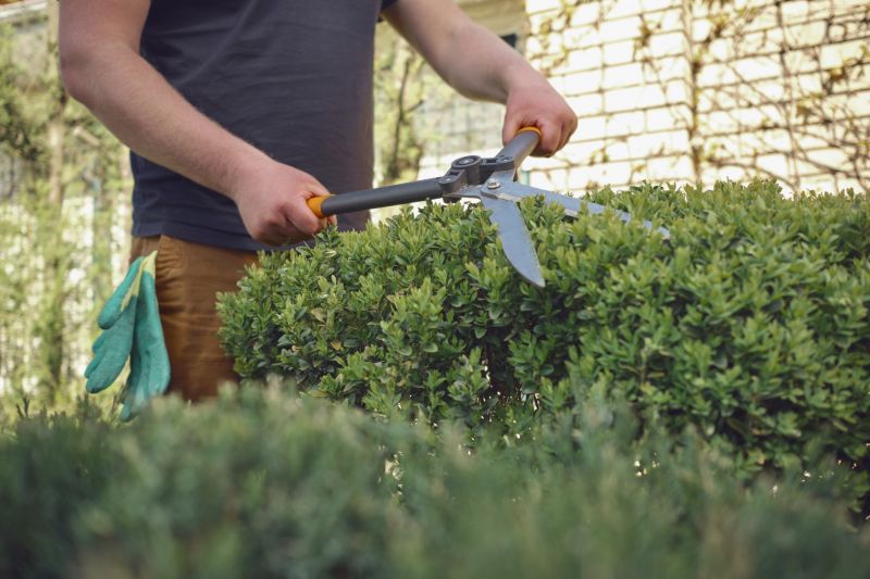 Efficient Shrub Trimming Equipment